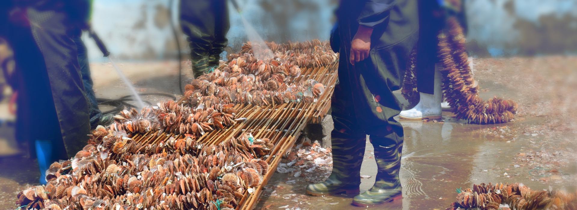 堅(jiān)持以市場(chǎng)為導(dǎo)向，以科技為根本，以創(chuàng)新為源泉，以品質(zhì)為生命