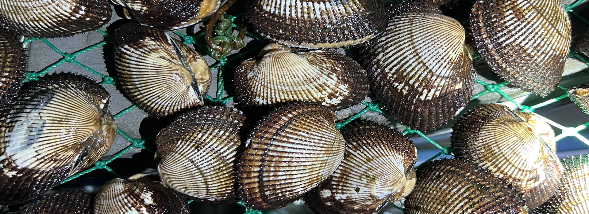 堅(jiān)持以市場(chǎng)為導(dǎo)向，以科技為根本，以創(chuàng)新為源泉，以品質(zhì)為生命