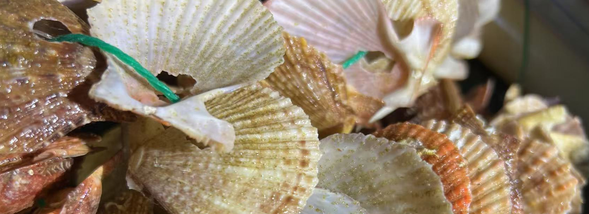 堅(jiān)持以市場(chǎng)為導(dǎo)向，以科技為根本，以創(chuàng)新為源泉，以品質(zhì)為生命